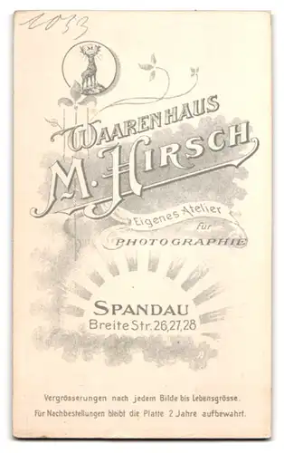 Fotografie M. Hirsch, Berlin-Spandau, Breite Str. 26, Portrait Herr in Anzug mit Schnurrbart