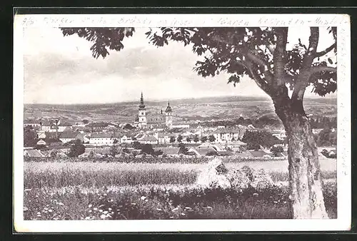 AK Wischau / Vyskov, Ortsansicht mit umliegenden Feldern