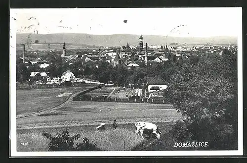 AK Domazlice, Panorama