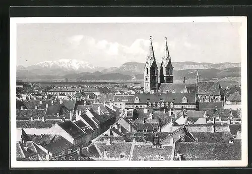 AK Neustadt, Ortsansicht gegen Schneeberg und Hohe Wand