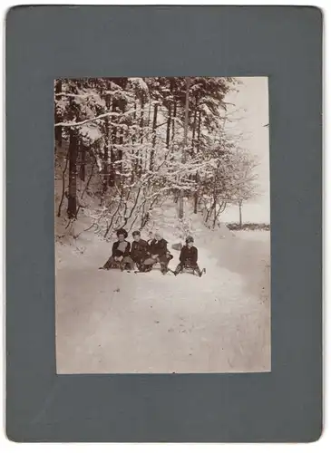Fotografie unbekannter Fotograf und Ort, Kinder fahren im Winter mit ihren Schlutten durch den Wald