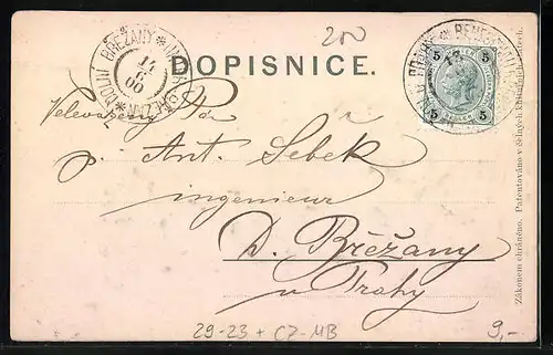 Relief-AK Beneschau / Benesov, Zámek Konopiste