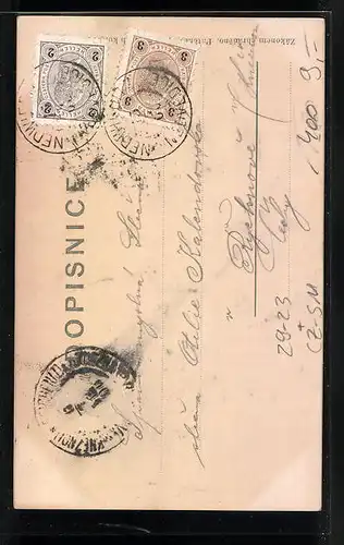 Relief-AK Pernstyn, Zámek