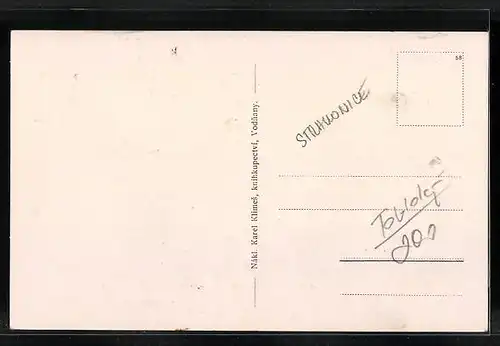 AK Vodnany, Panorama