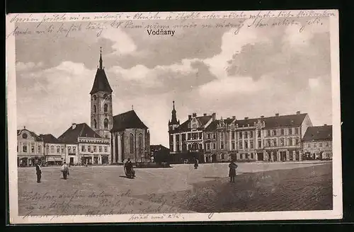 AK Vodnany, Panorama