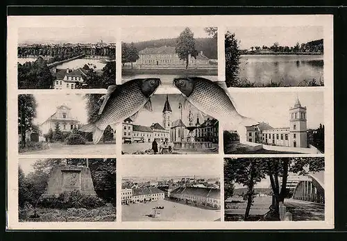 AK Vodnany, Panorama