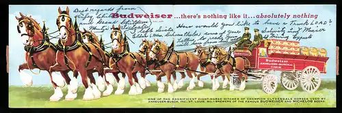 Klapp-AK Brauerei-Werbung für Budweiser Bier, Achtspännige Bierkutsche