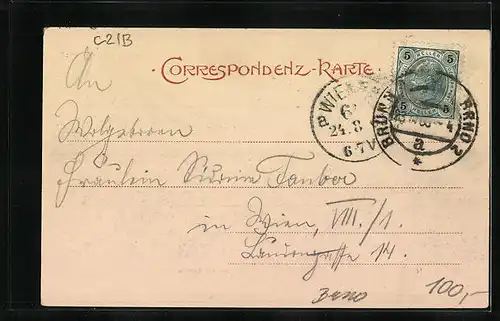 AK Brünn / Brno, Panorama mit Spielberg