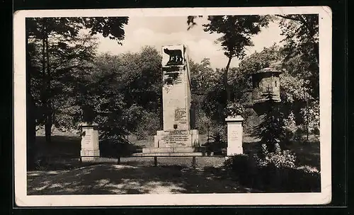 AK Brünn / Brno, Am Spielberg