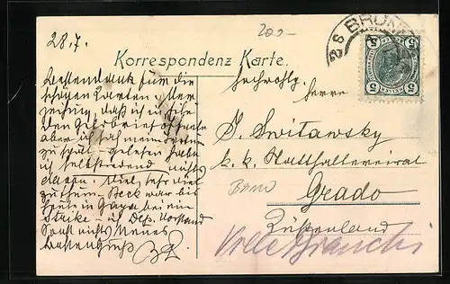 AK Brünn / Brno, Panorama mit Spielberg