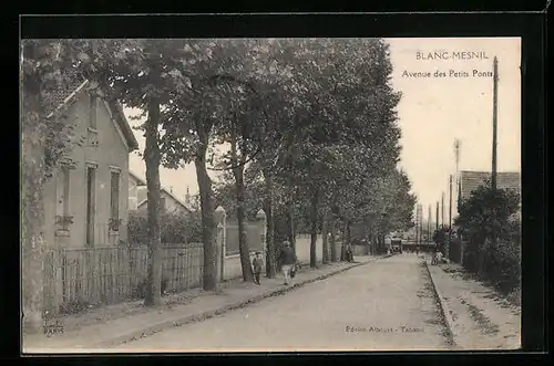 AK Blanc-Mesnil, Avenue des Petits Ponts