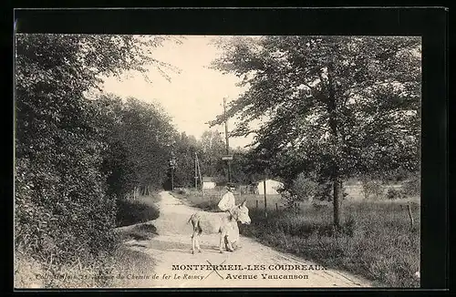 AK Montfermeil, Les Coudreaux, Avenue Vaucanson