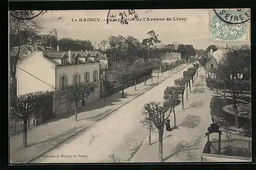 AK Le Raincy, Perspective de l`Avenue de Livry