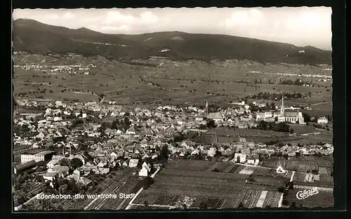 AK Edenkoben, Panorama mit Landschaft