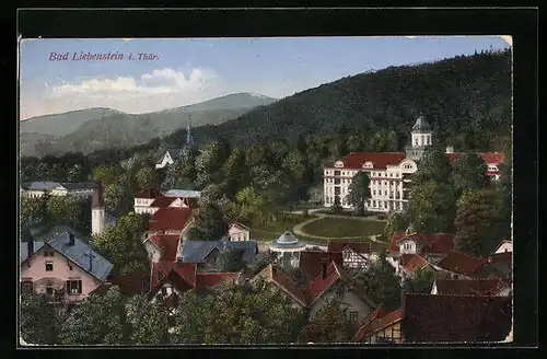 AK Liebenstein i. Thür., Panoramaansicht der Ortschaft