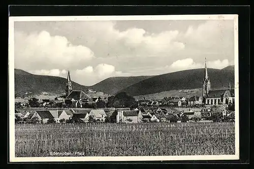 AK Edenkoben / Pfalz, Panorama