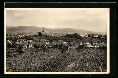 AK Edenkoben a. d. Weinstrasse, Panorama