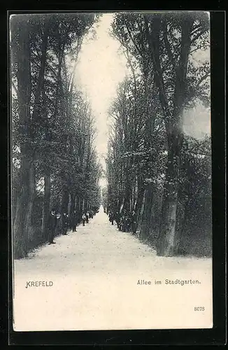 AK Krefeld, Allee im Stadtgarten