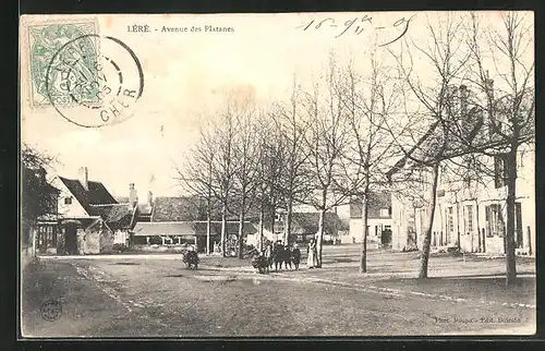 AK Lèrè, Avenue des Platanes
