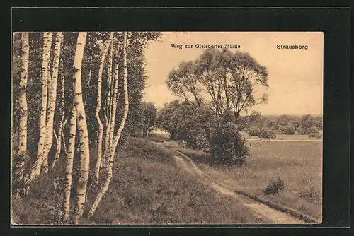 AK Strausberg, Weg zur Gielsdorfer Mühle