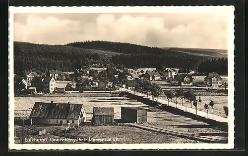AK Tannenbergsthal im Vogtl., Gesamtansicht aus der Vogelschau