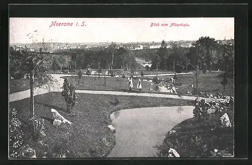 AK Meerane, Blick vom Alberthain