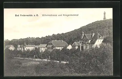 AK Bad Freienwalde a. O., Wilhelmstrasse und Kriegerdenkmal