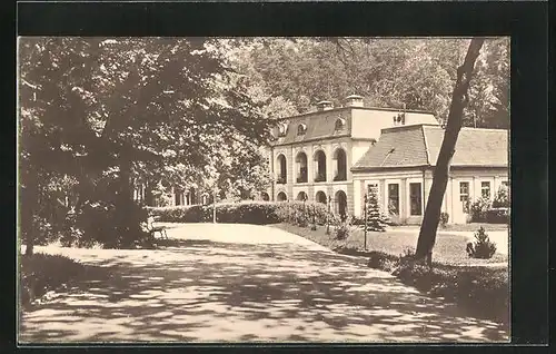 AK Bad Freienwalde a. O., Partie im Kurpark