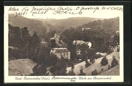 AK Bad Freienwalde a. O., Blick ins Brunnental