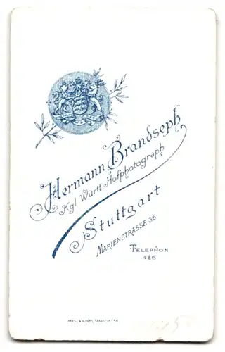 Fotografie H. Brandseph, Stuttgart, Marienstr. 36, Portrait frecher Bube mit Krawatte im Jackett