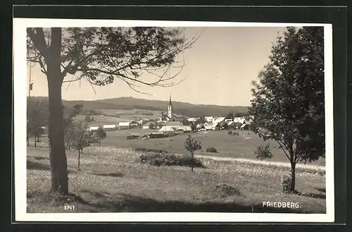 AK Friedberg, Panoramablick von der Bergwiese
