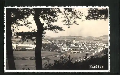 AK Kaplice, Celkový pohled