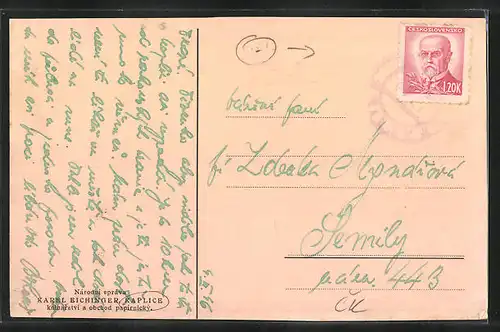 AK Kaplice, Celkový pohled