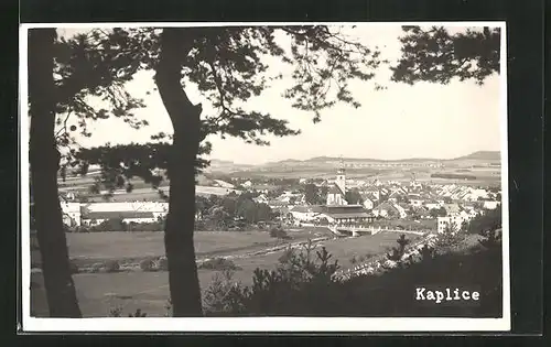 AK Kaplice, Celkový pohled