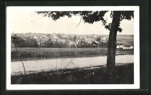 AK Dolni Ostrovec, Celkovy pohled