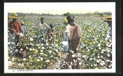 AK Baumwollpflücker auf der Plantage