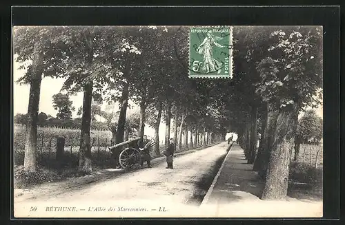 AK Bethune, L`Allee des Marronniers