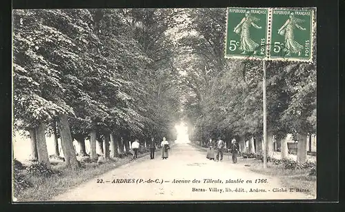 AK Ardres, Avenue des Tilleuls