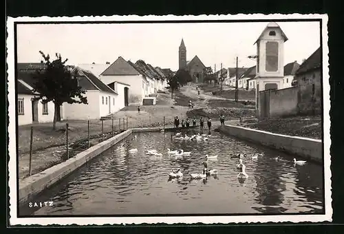 AK Saitz /Nieder-Donau, Ortspartie mit Ententeich