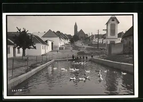 AK Saitz /Nieder-Donau, Ortspartie mit Ententeich