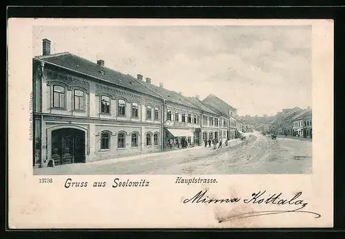 AK Seelowitz, Hauptstrasse mit Passanten