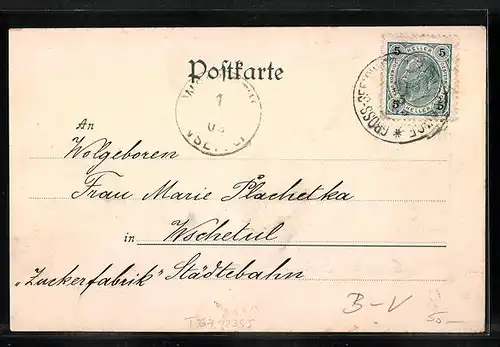 AK Seelowitz, Hauptstrasse mit Passanten