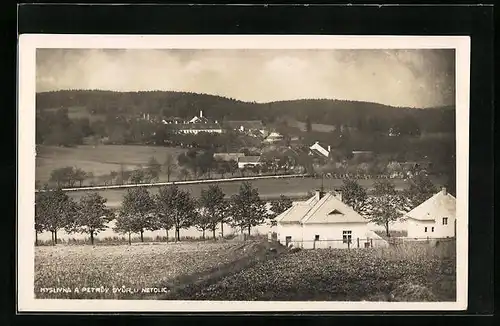 AK Netolice, Panorama