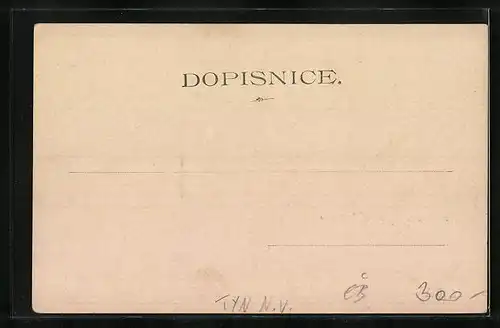 AK Tyn N. V., Panorama