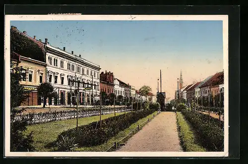 AK Presov, Park