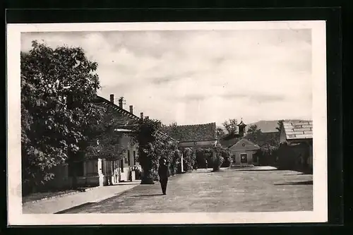 AK Piestany, Panorama