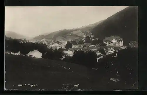 AK Teplice, Panorama