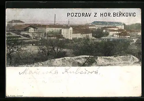 AK Horni Berkovice, Panorama