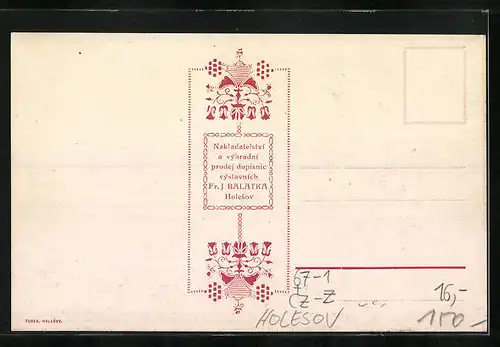 AK Holesov, Valasskavystava 1914, Panorama