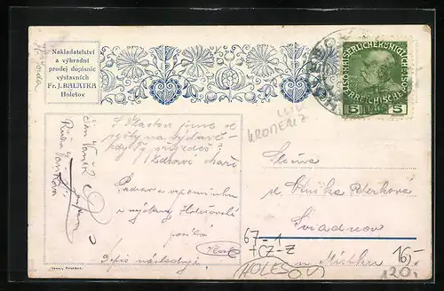 AK Holesov, Valasskavystava 1914, Celkovy pohled